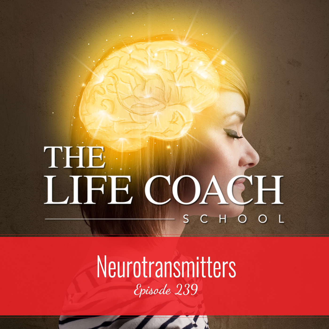 Ep #239: Neurotransmitters Ep #239: Neurotransmitters