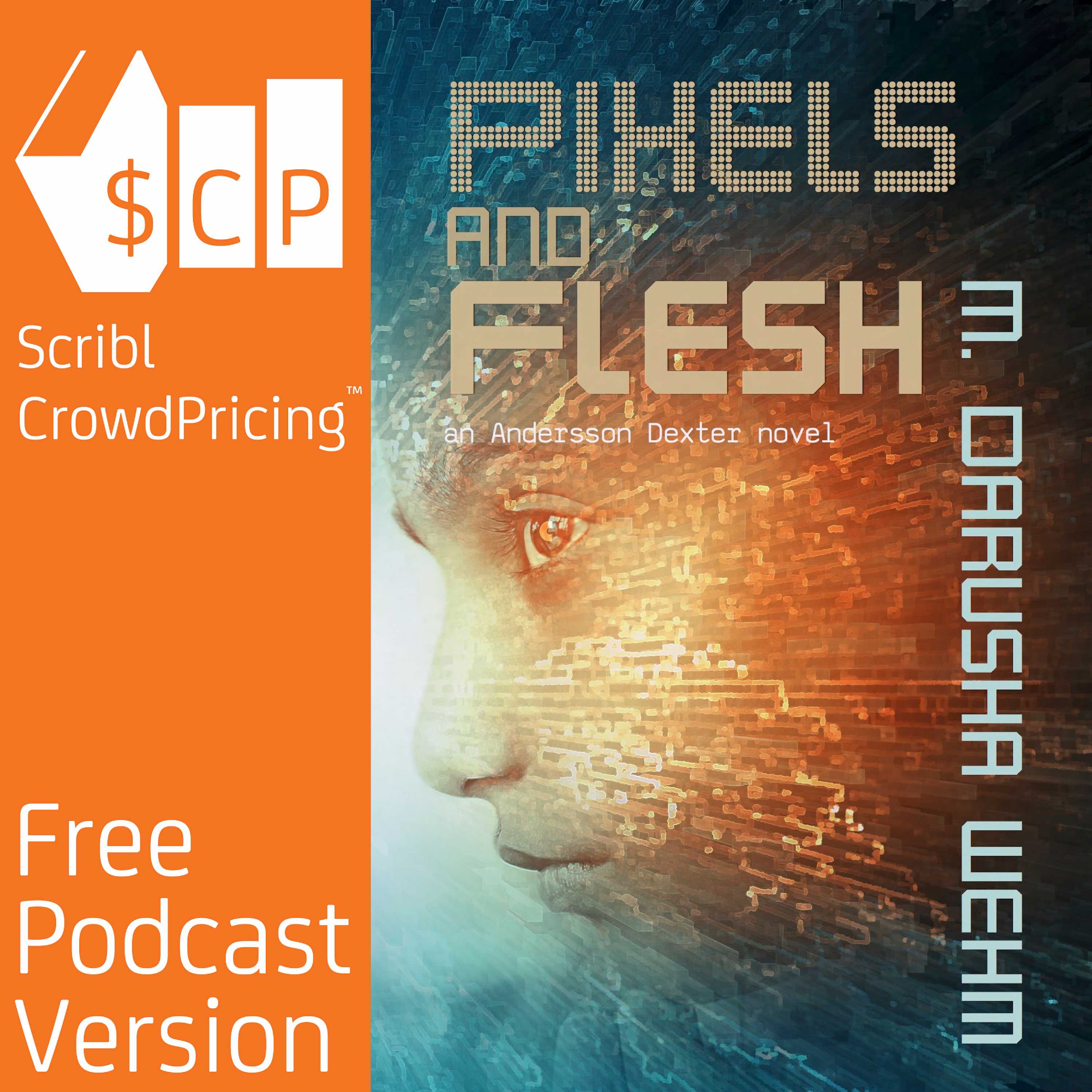 1: Pixels & Flesh
