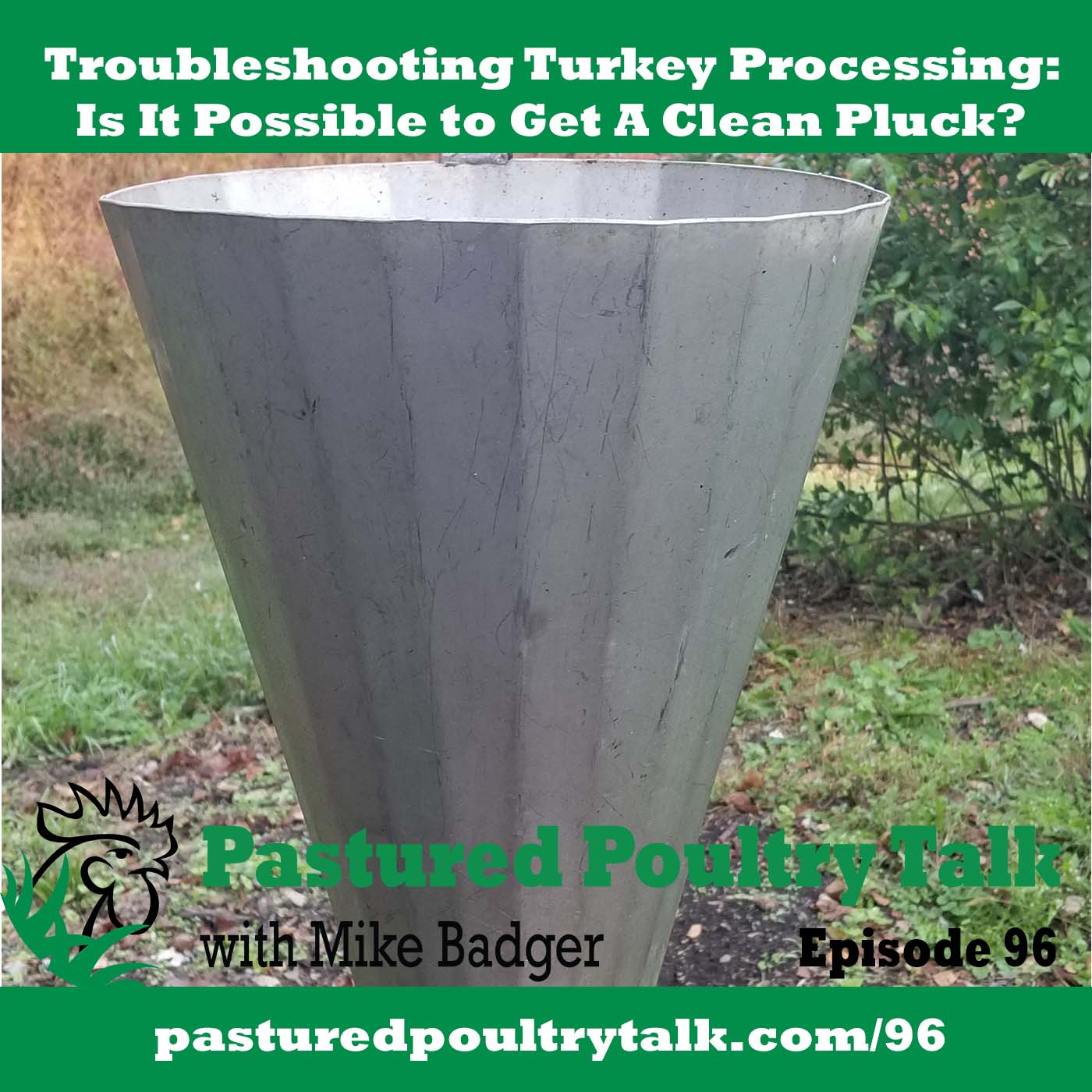 Troubleshooting Turkey Processing: Is It Possible to Get a Clean Pluck? PPT096