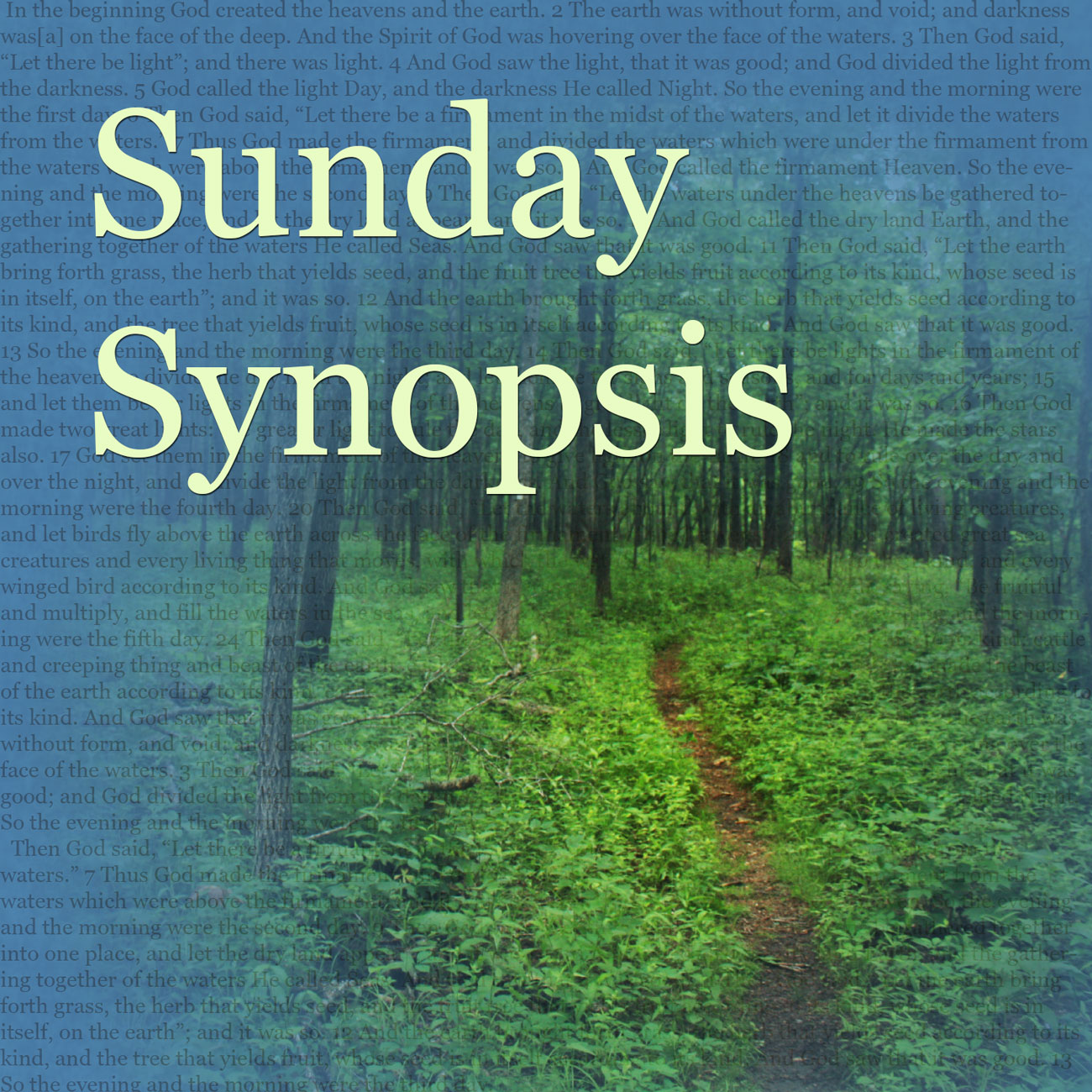 The Disorientation of Spiritual Fatigue