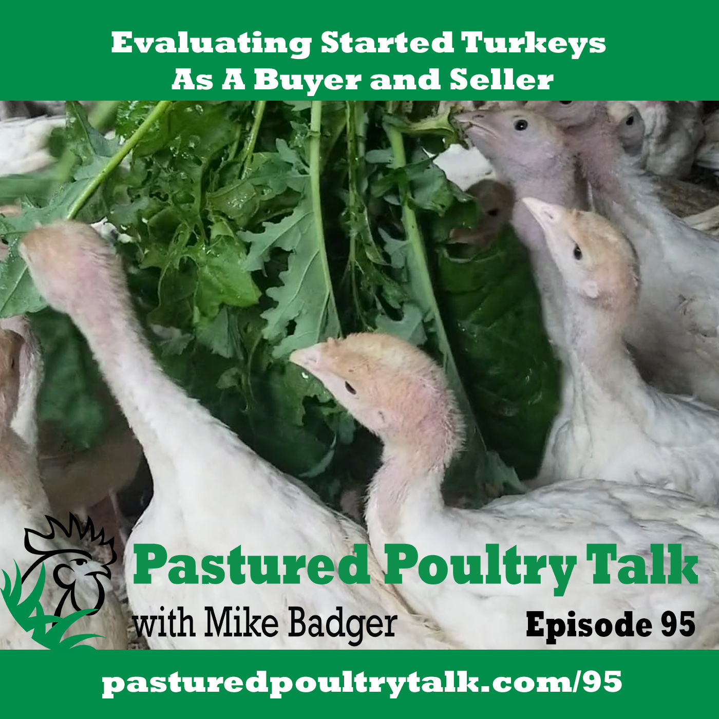 Evaluating A Started Turkey Business as a Buyer and Seller