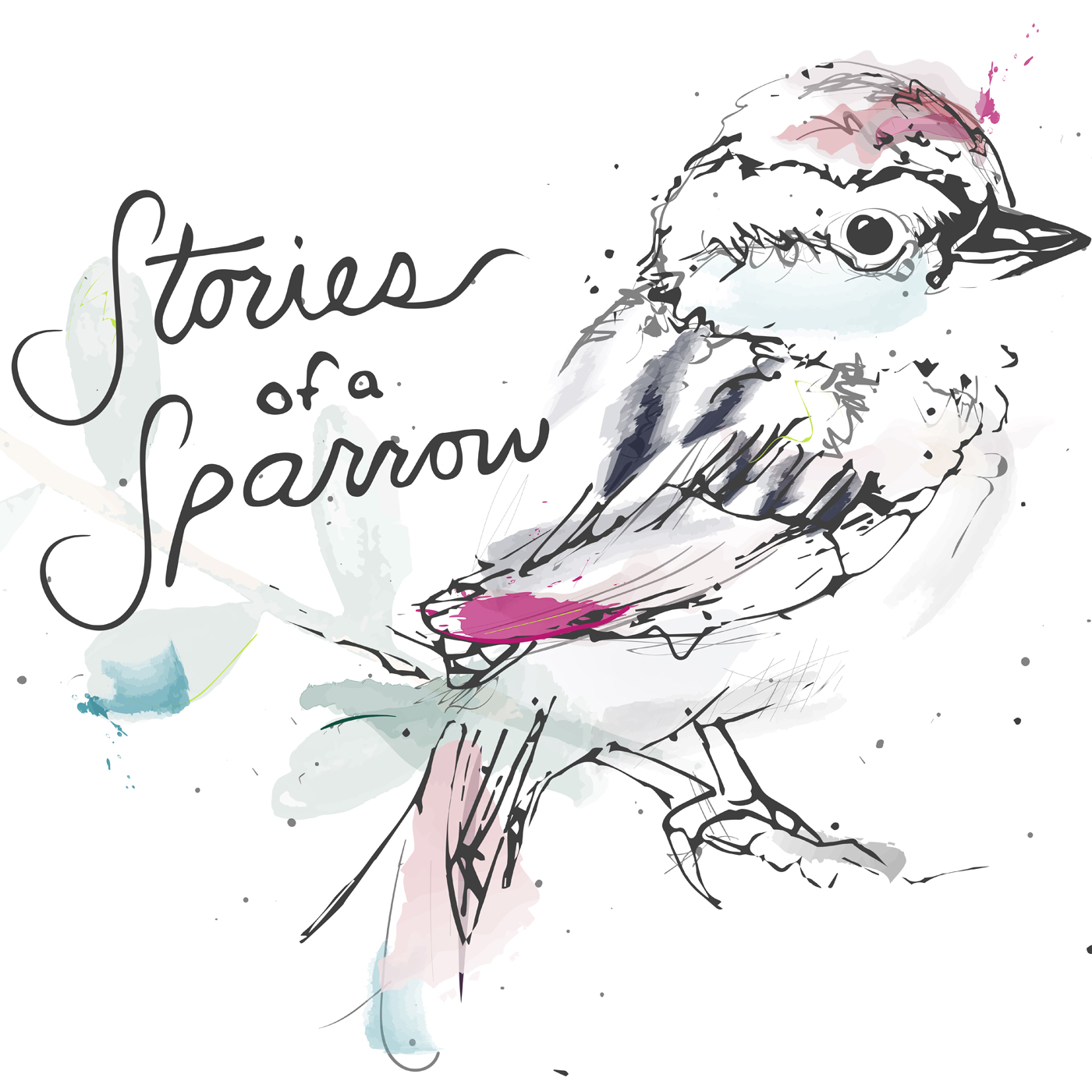 Stories of a Sparrow: Episode 16 Finding Joy