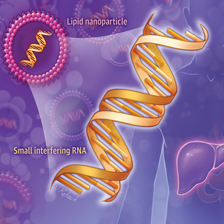 Effect of 1 or 2 Doses of Inclisiran on Low-Density Lipoprotein Cholesterol Levels