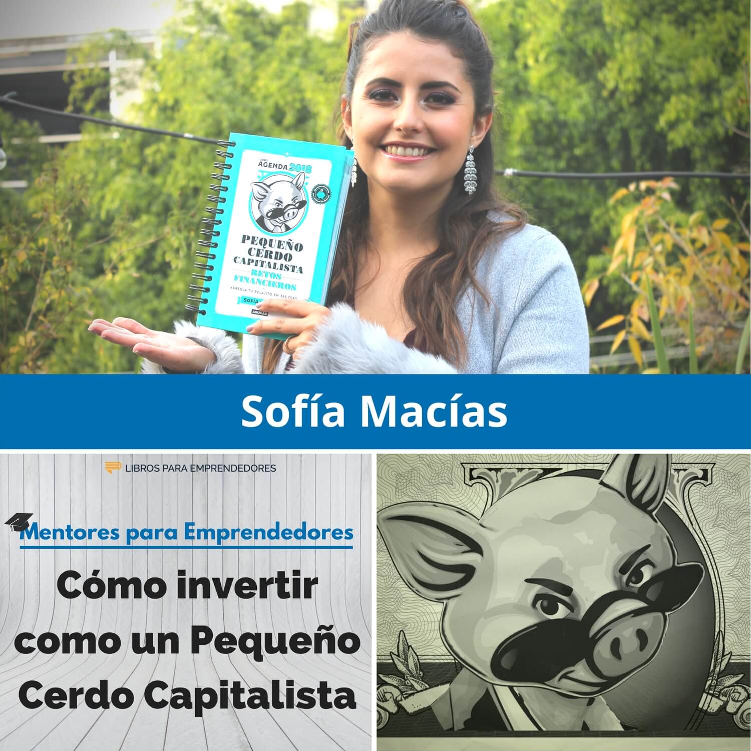 Cómo invertir como un Pequeño Cerdo Capitalista, con Sofía Macías - MPE020 - Mentores para Emprendedores Cómo invertir como un Pequeño Cerdo Capitalista, con Sofía Macías - MPE020 - Mentores para Emprendedores