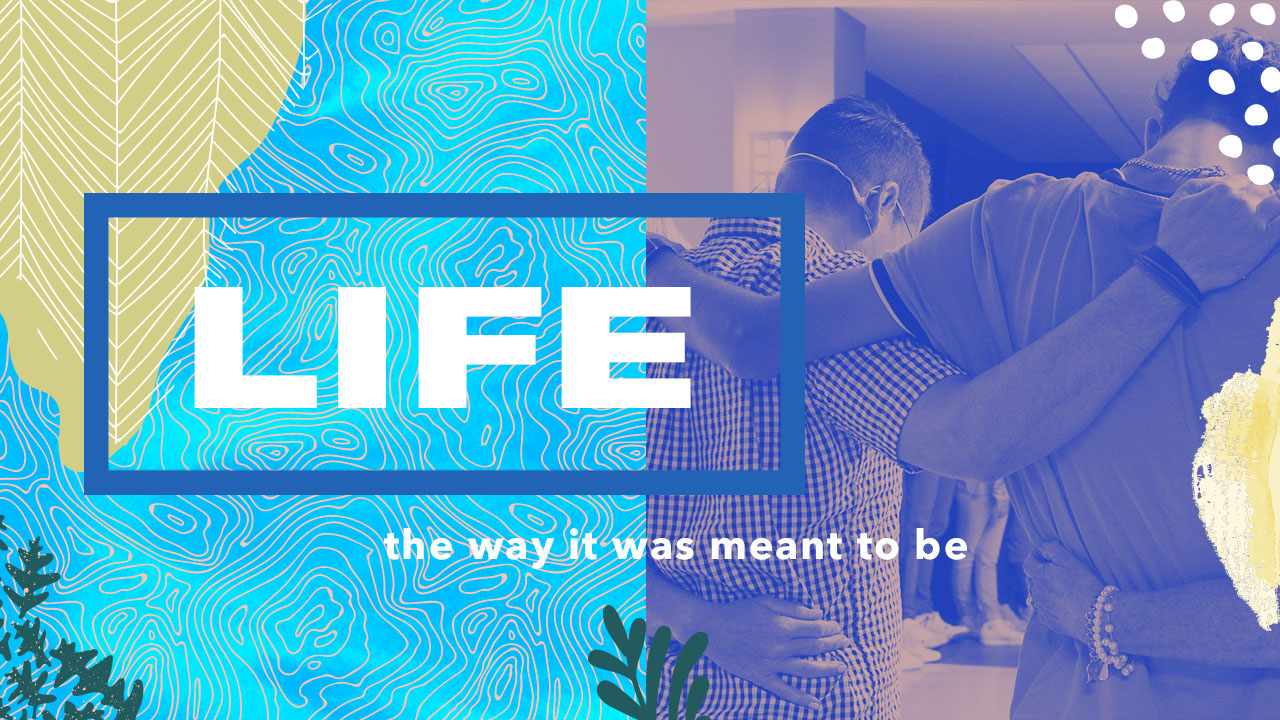 LTWIWMTB :: Live to Give