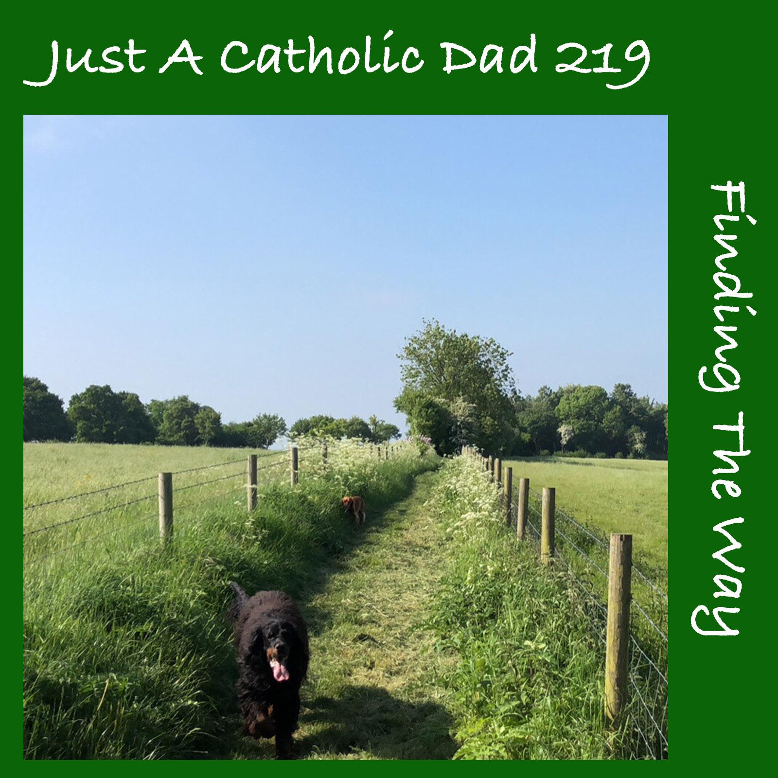JACD 219 - Finding The Way