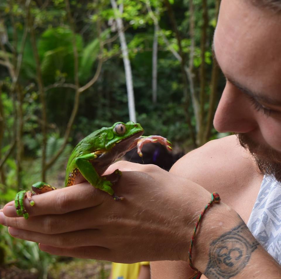 Healing Your Mind & Body With Kambo Frog Medicine - Austin Romero