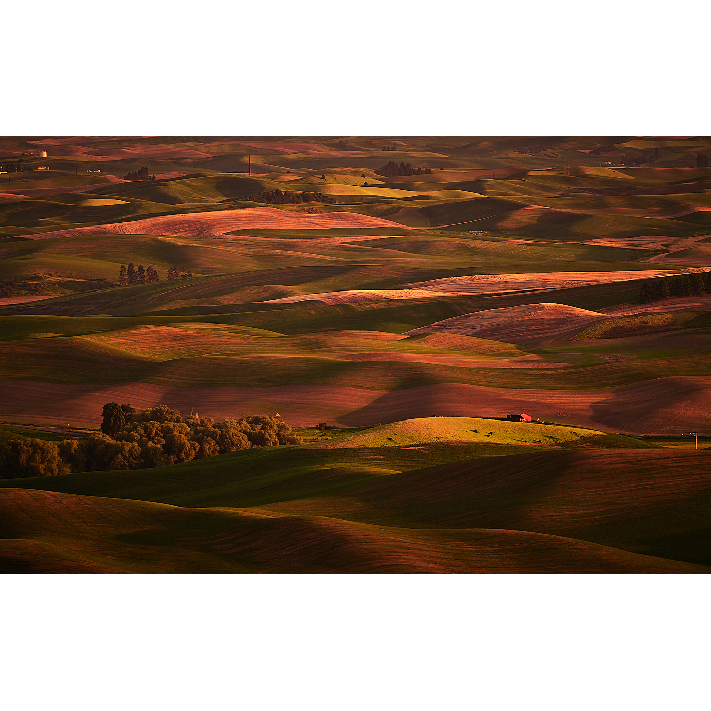 Narrative and Emotion with LUMIX Ambassador Shiv Verma