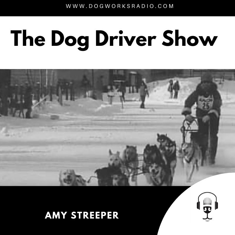 The Dog Driver Show Amy Streeper