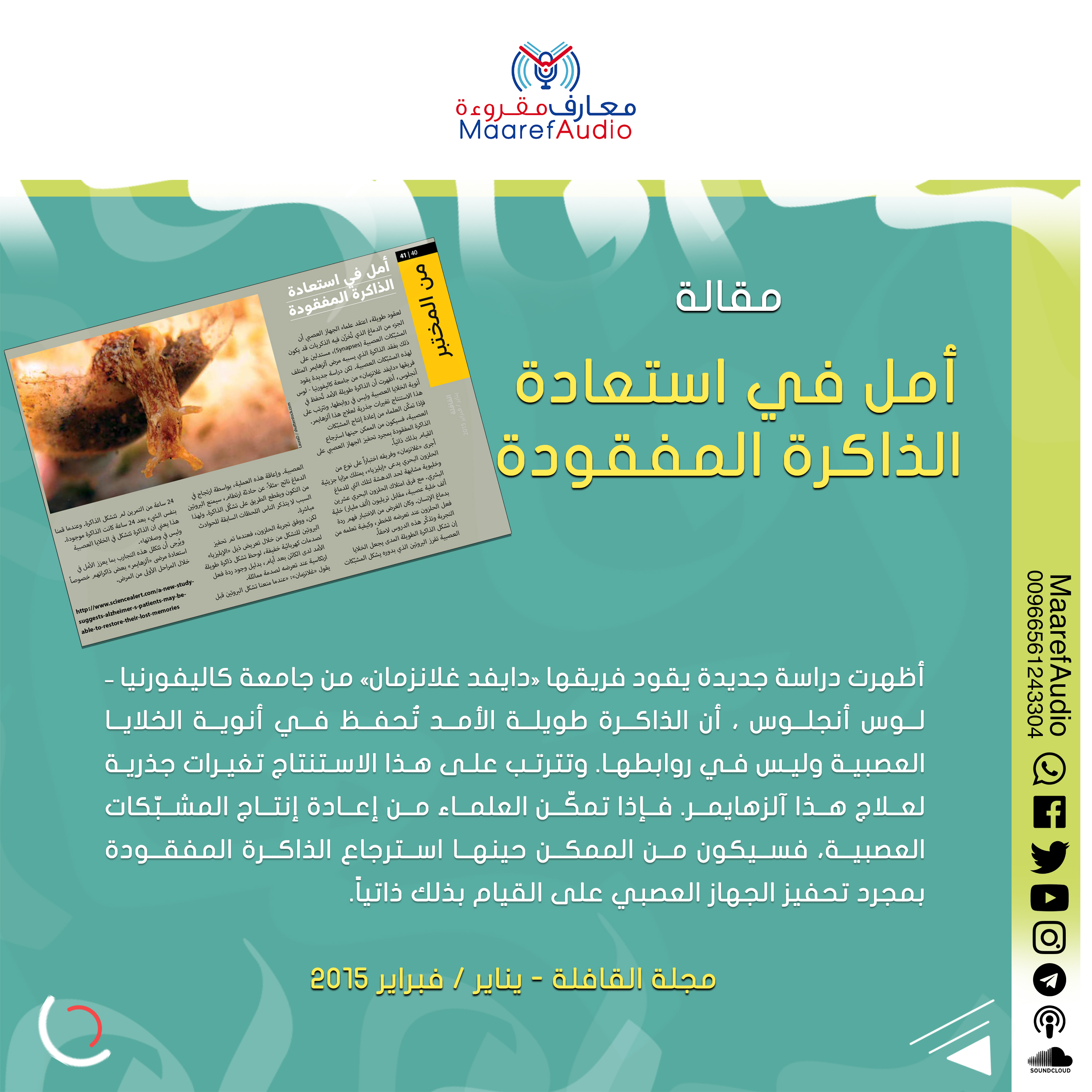 مقالة : أمل في استعادة الذاكرة المفقودة