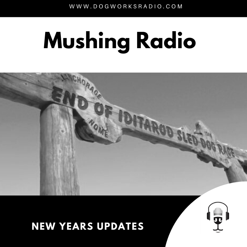 Mushing Radio Mew Years Updates