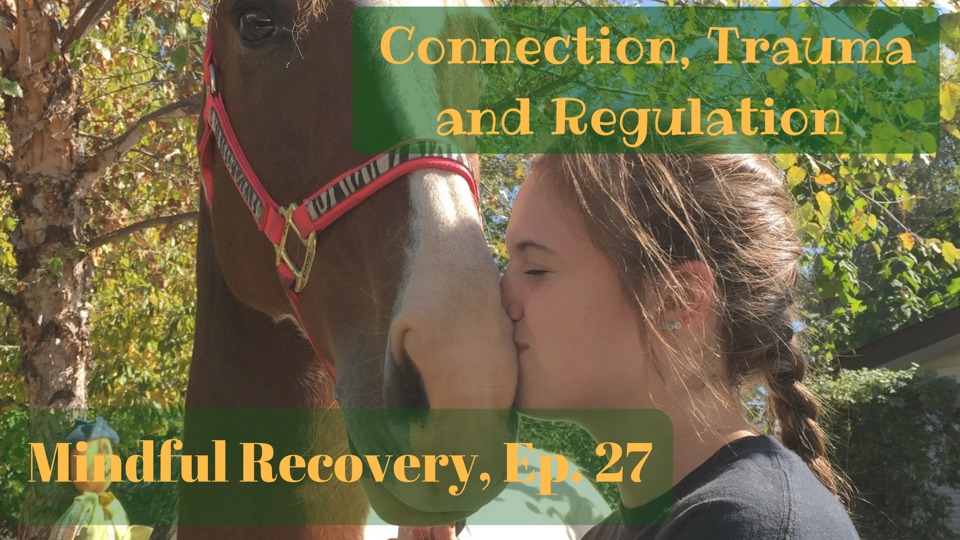 Connection, Trauma and Regulation