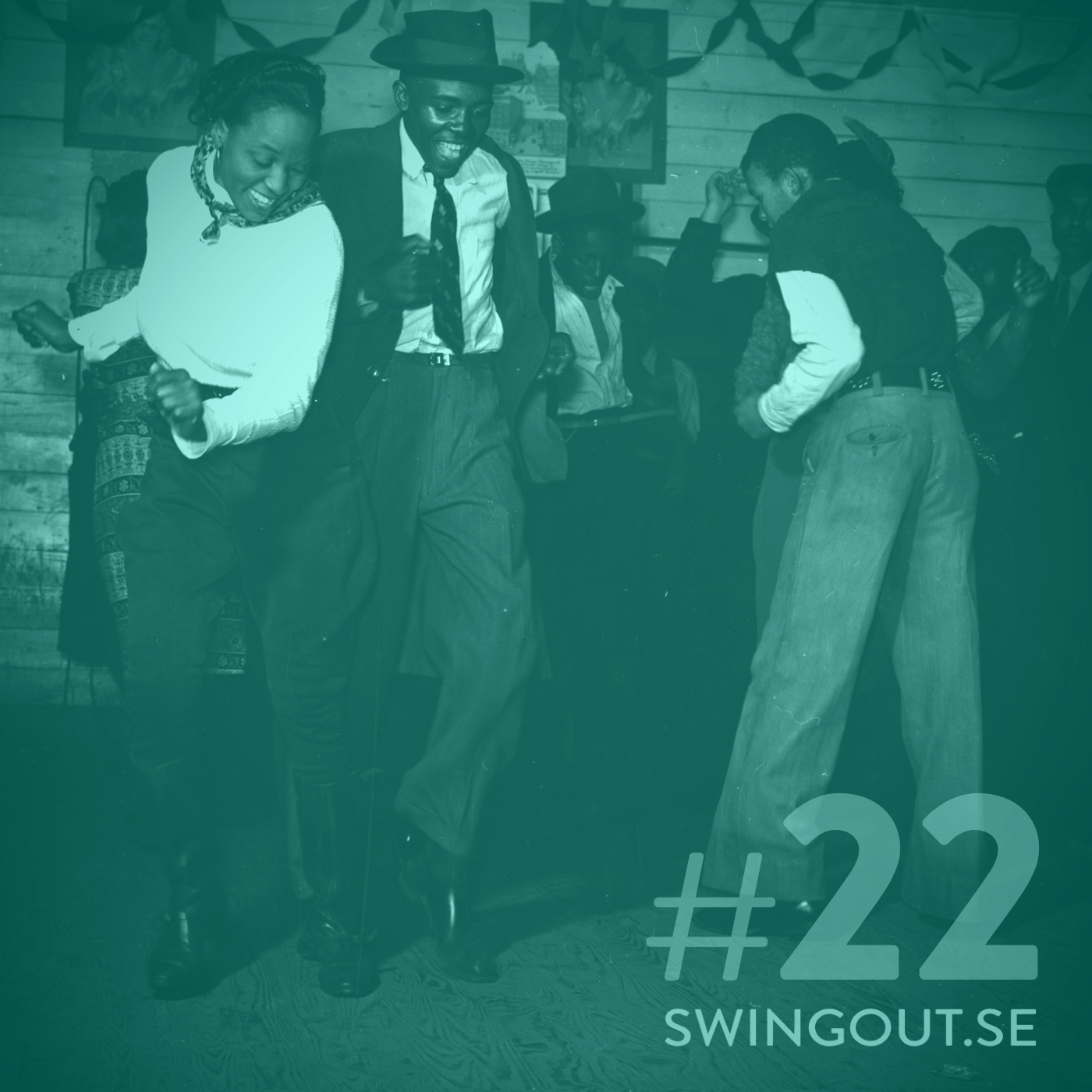 #22 - "Sveneseket"