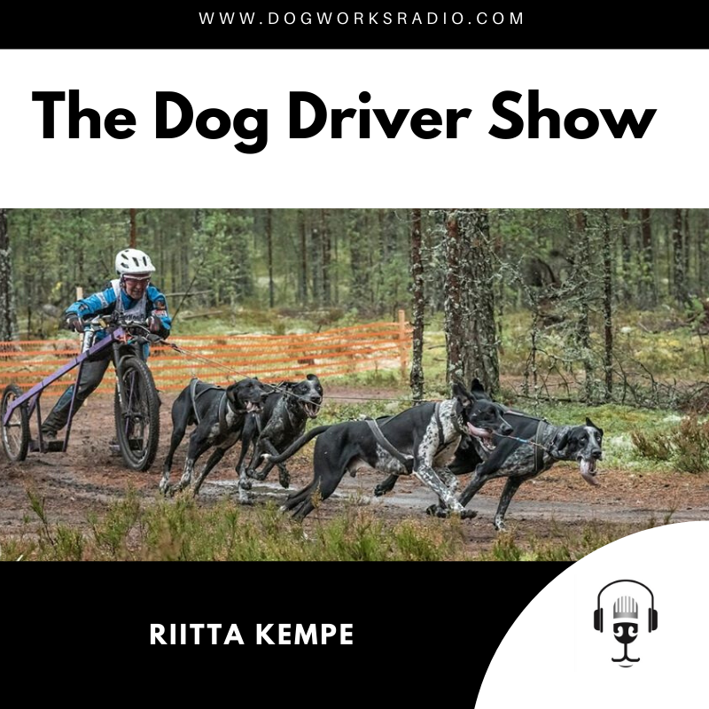 The Dog Driver Show Riitta Kempe