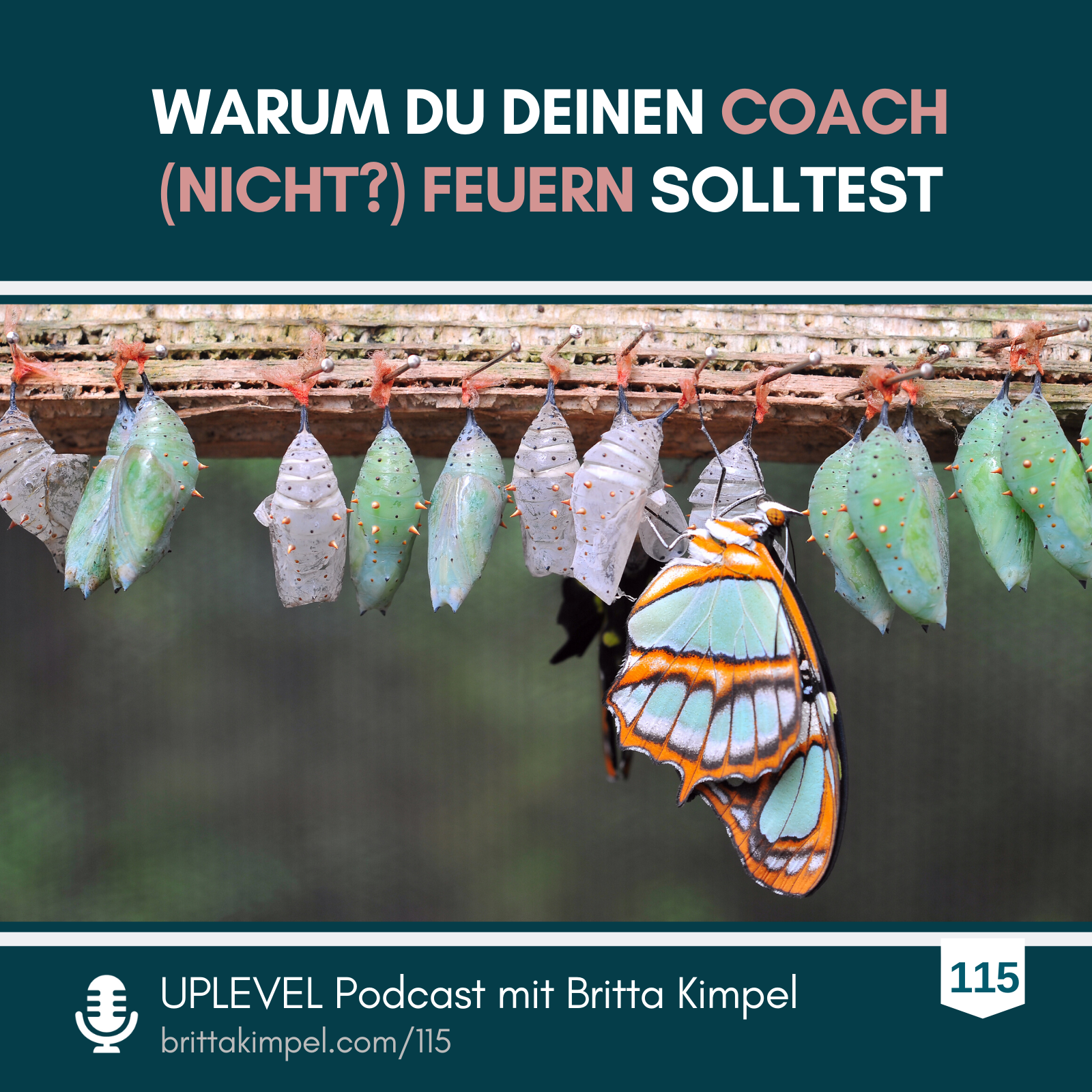 Selbstoptimierungswahn und die Frage, ob du deinen Coach feuern solltest…