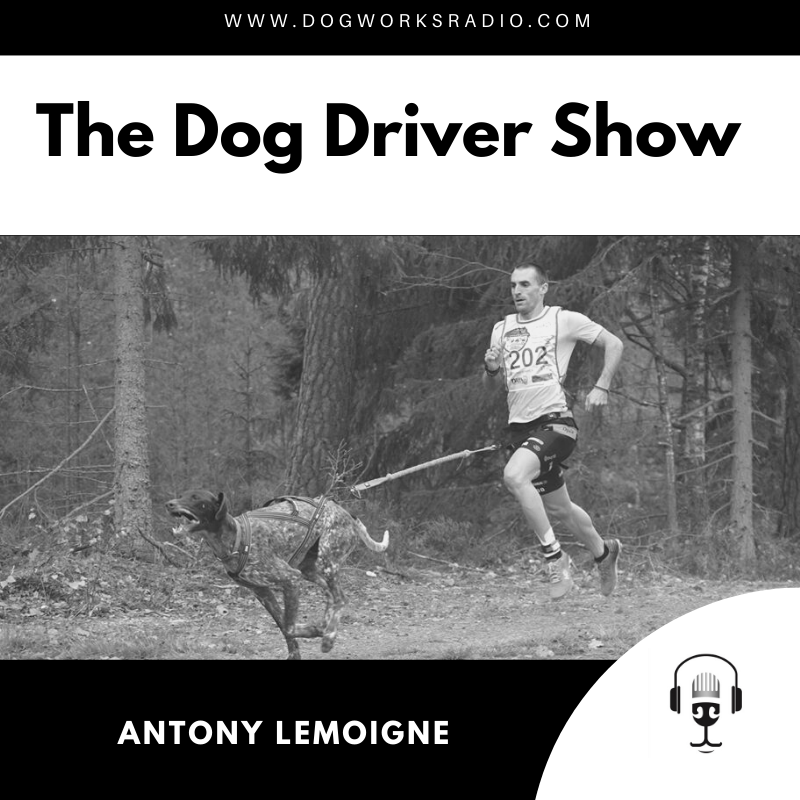 The Dog Driver Show Antony LeMoigne