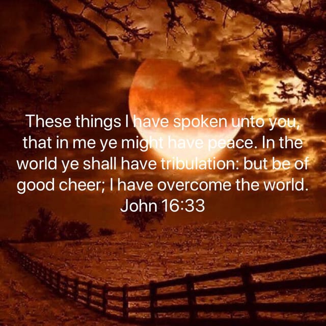 Be Of Good Cheer https://the-prodigalson.com