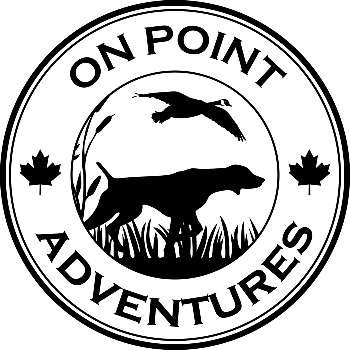 In Episode 1 Charlene talks with Lynn Pettinato about CBD treatments for her dogs.