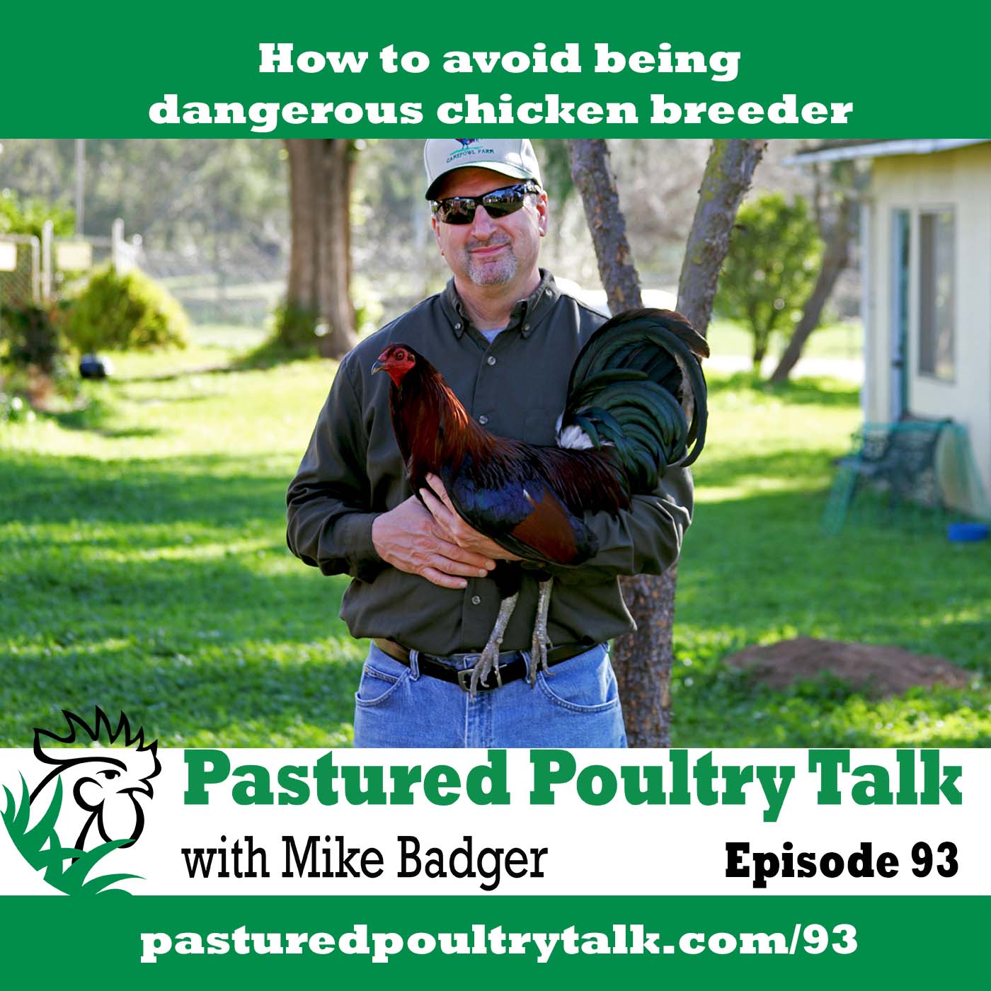 How to avoid being dangerous chicken breeder