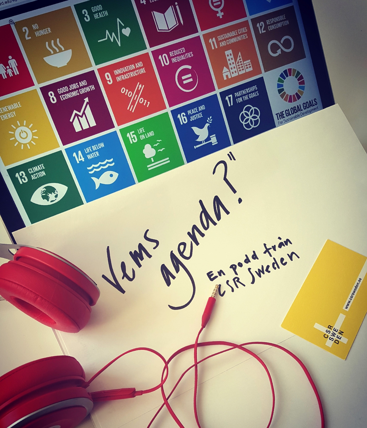 Mål 17 - genomförande och globalt partnerskap