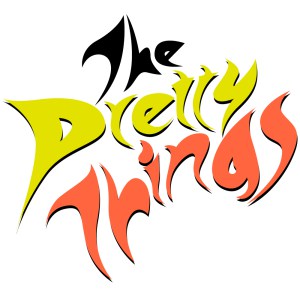 Dick Taylor of the Rollin' Stones & the Pretty Things
