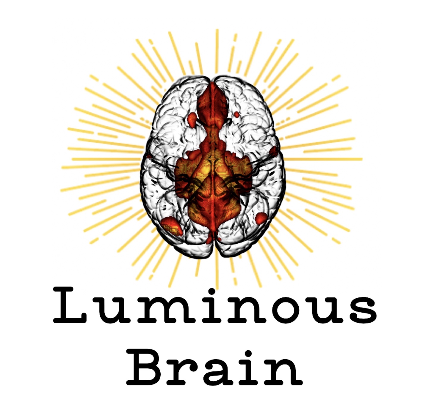 A Conversation with Kevin Jarbo, PhD ABD, about Diffusion Tensor Imaging