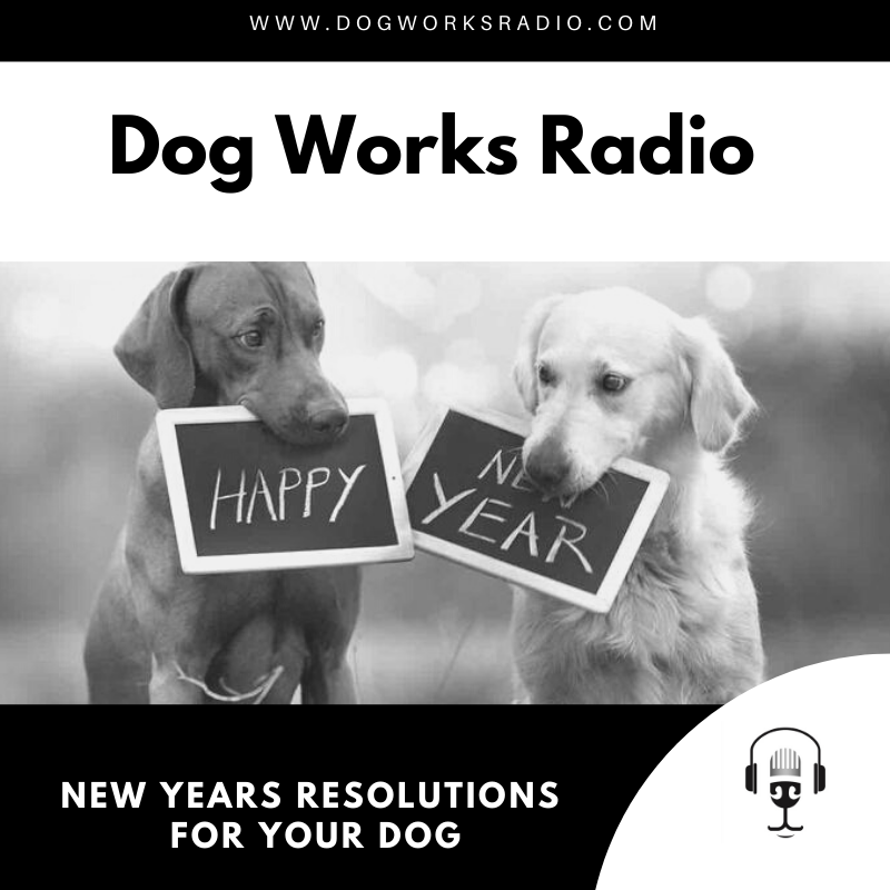 New Years Resolutions for Your Dog