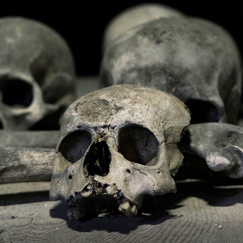 Death and the Afterlife