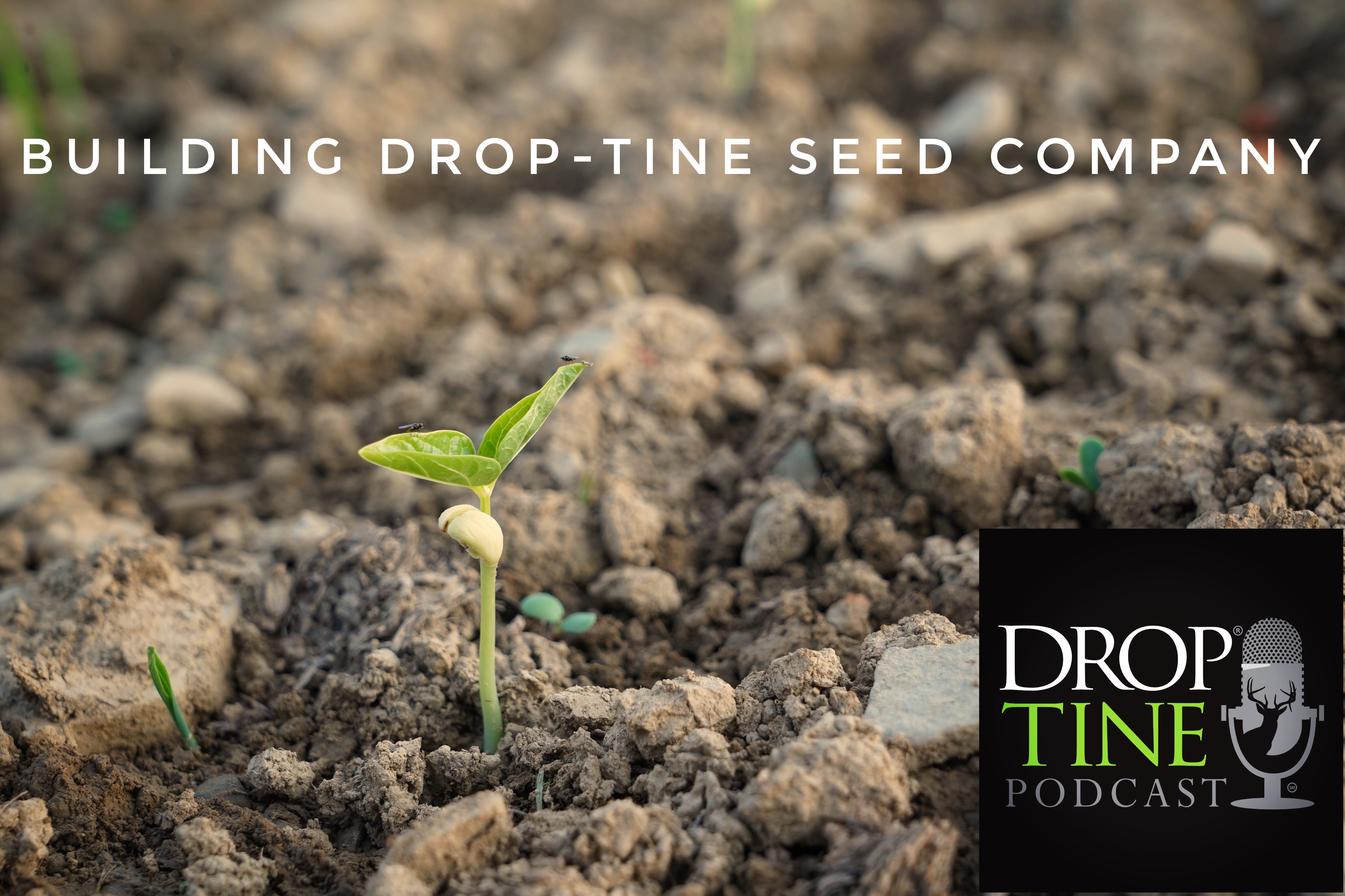 Growing The Drop-Tine Seed Co.-The Start