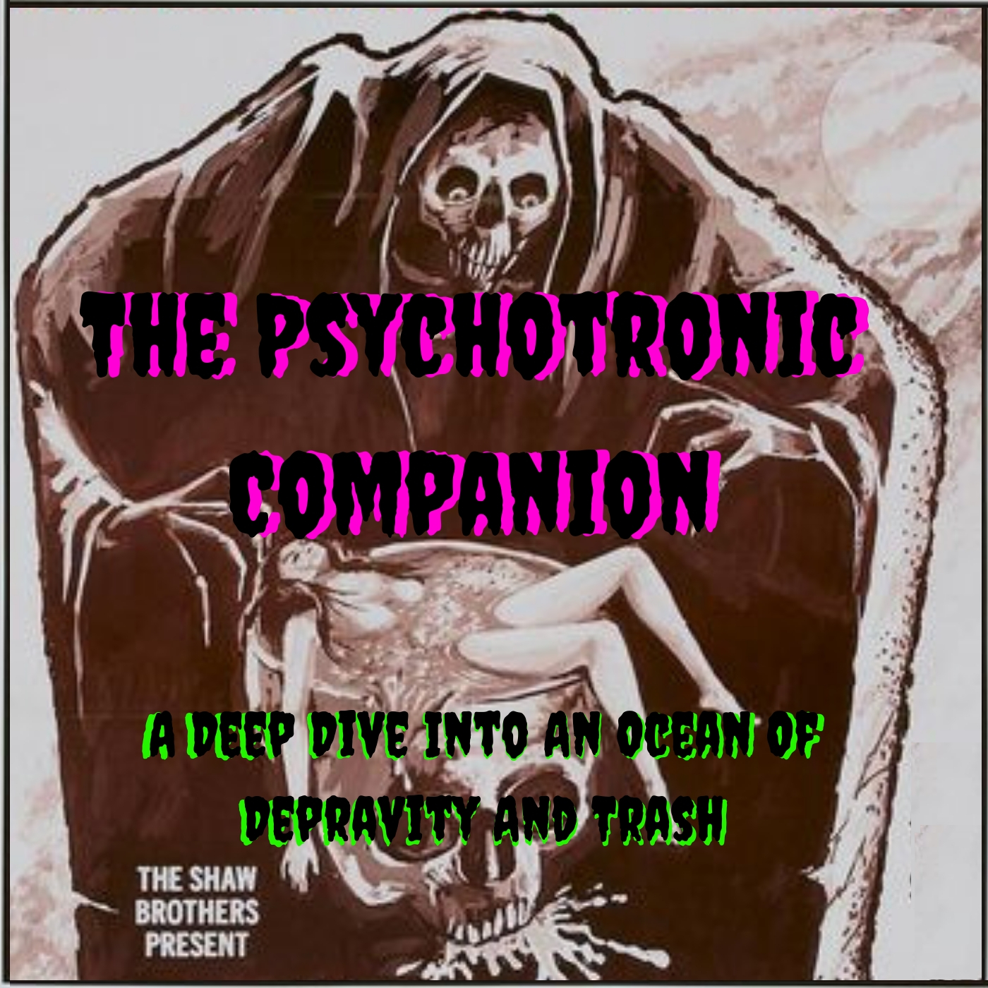 An Introduction to The Psychotronic Companion