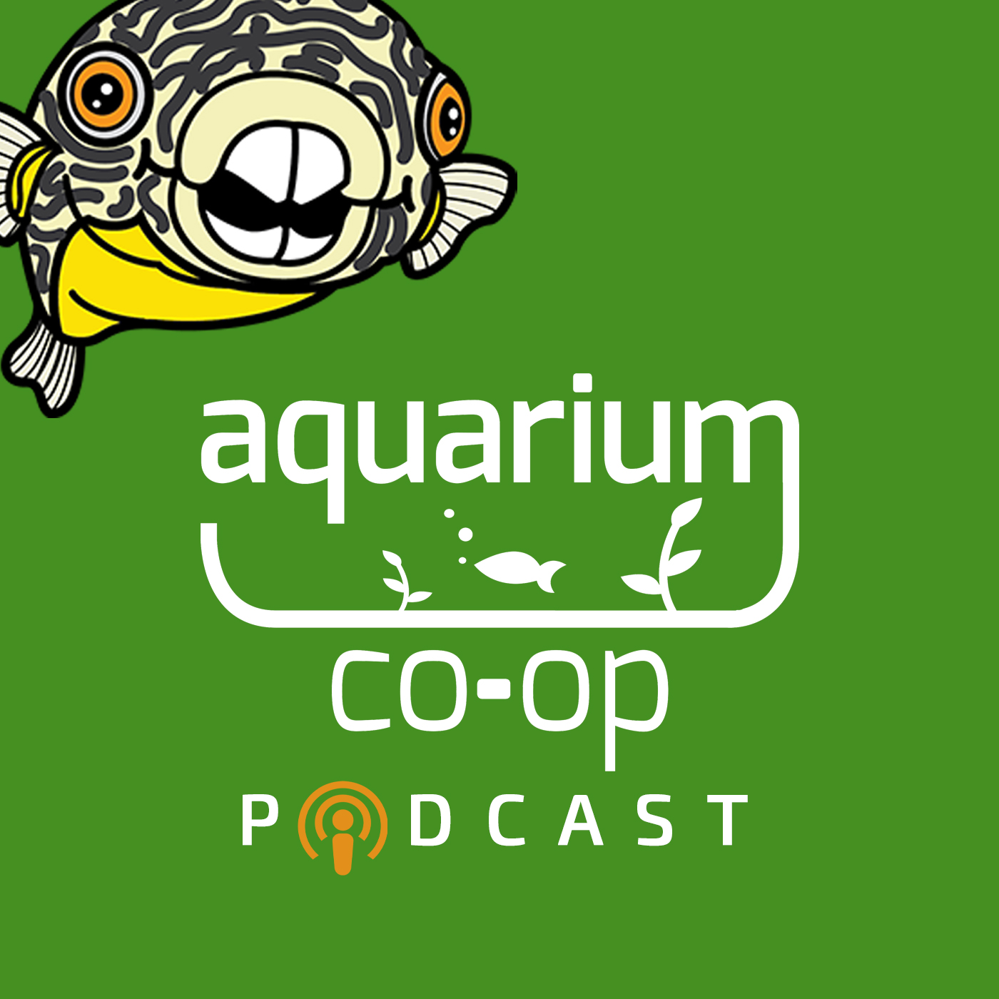 Aquarium Nerd Central