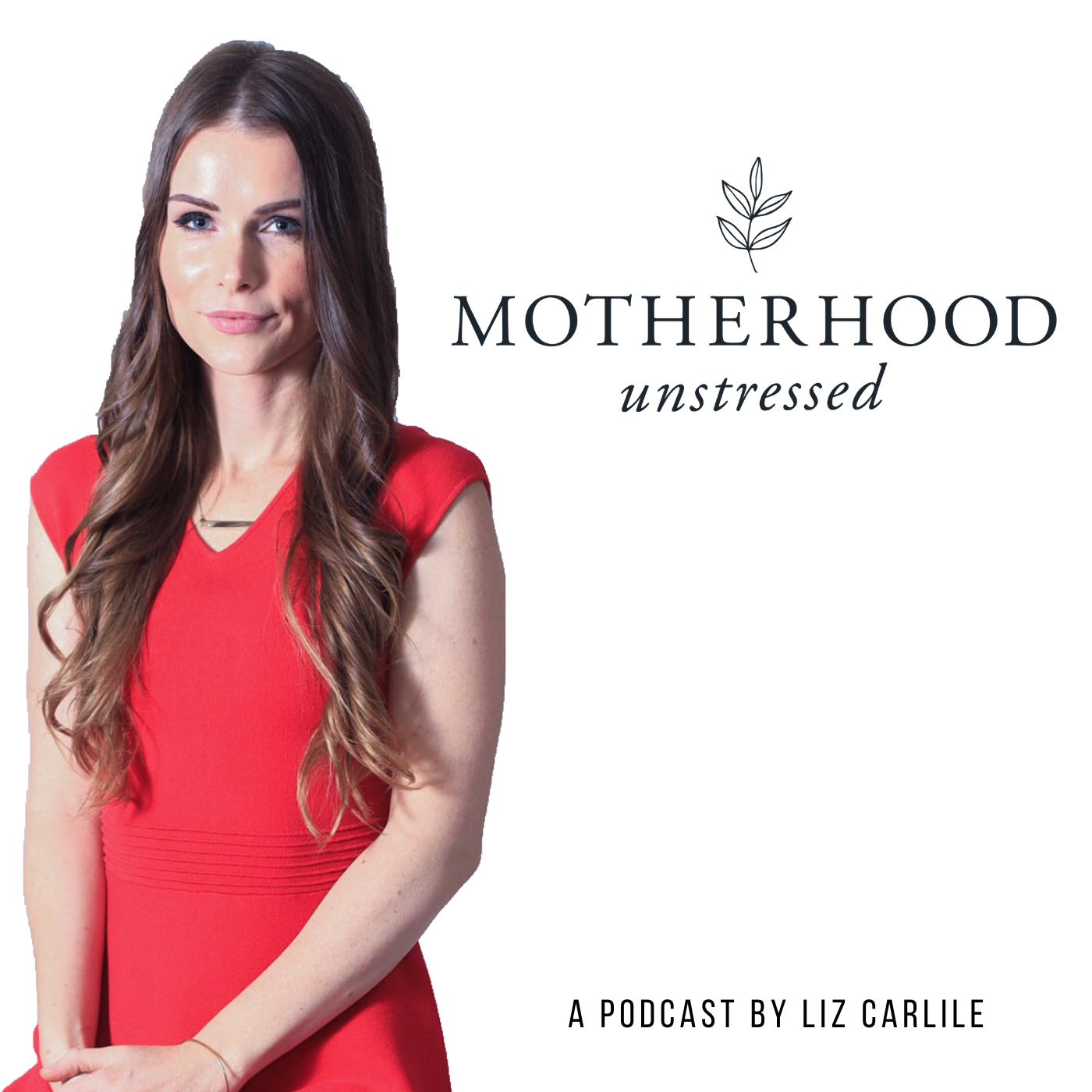 Busy Moms Cheat Sheet: How to Thrive + Establish Healthy Habits During Quarantine with Lilly Cadoch