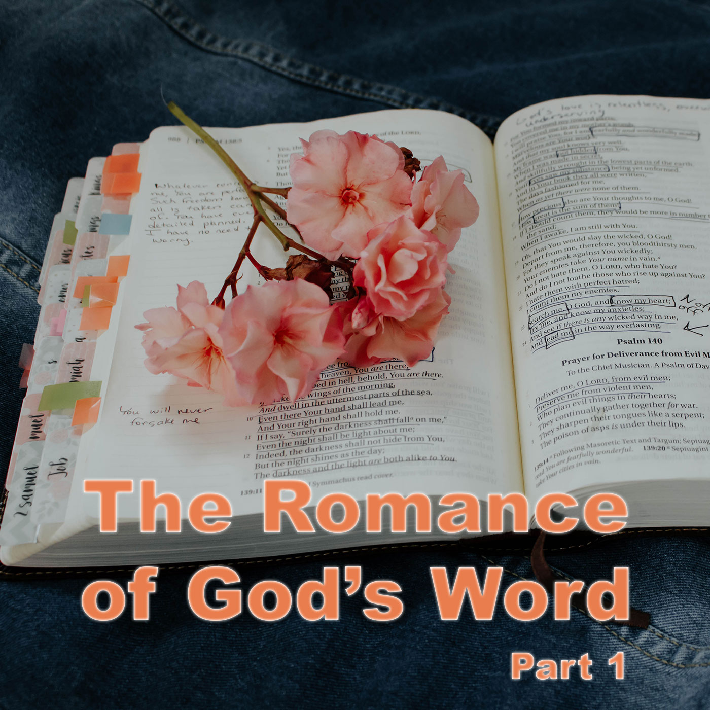 The Romance of God's Word - The Transformed Life