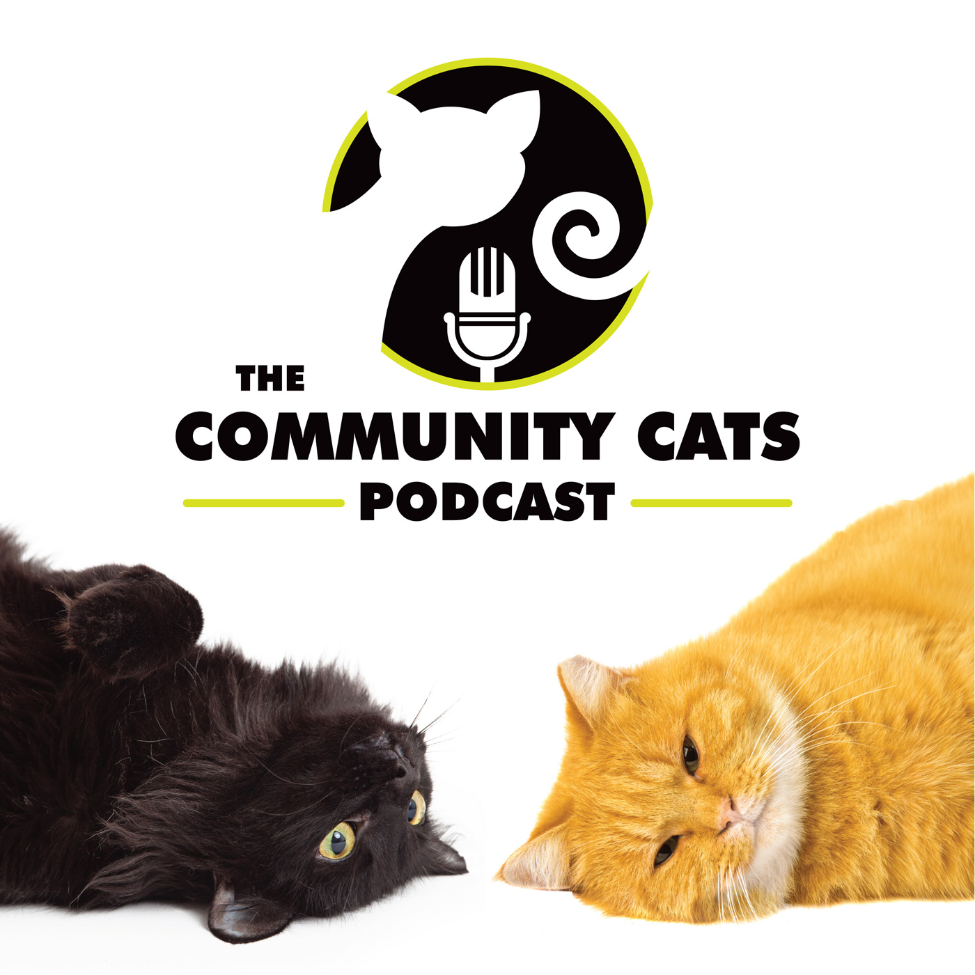 Bryan Kortis, Director of National Programs, Neighborhood Cats