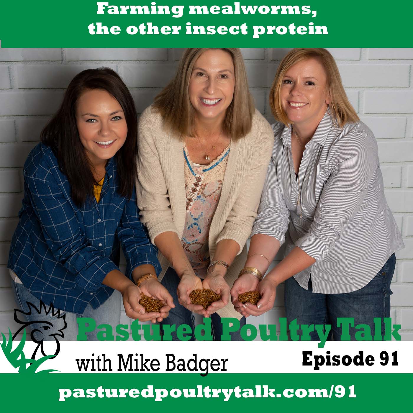 Farming mealworms for chicken feed with Cheryl Powers