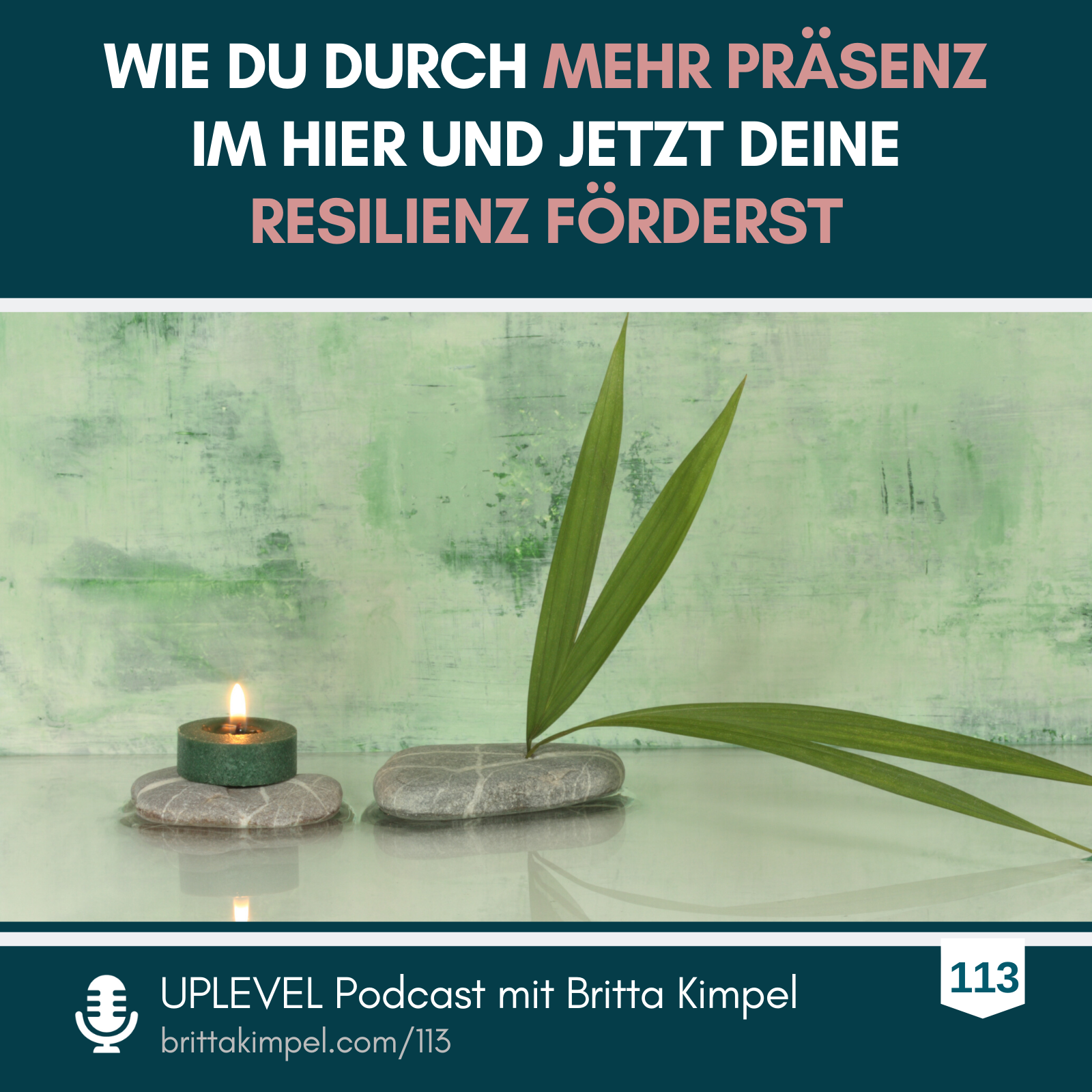 Mit dem SEIN-Modell des integrierten Selbst die Resilienz fördern