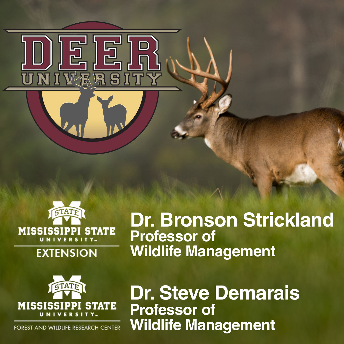 Episode 037 - Deer Summer Nutrition