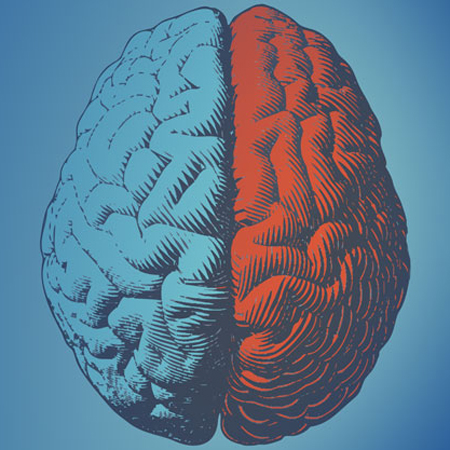 Determination of Brain Death/Death by Neurologic Criteria–The World Brain Death Project