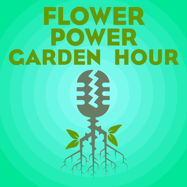 Flower Power Garden Hour 41: Listener Q&A…Summer Vegetable Gardening