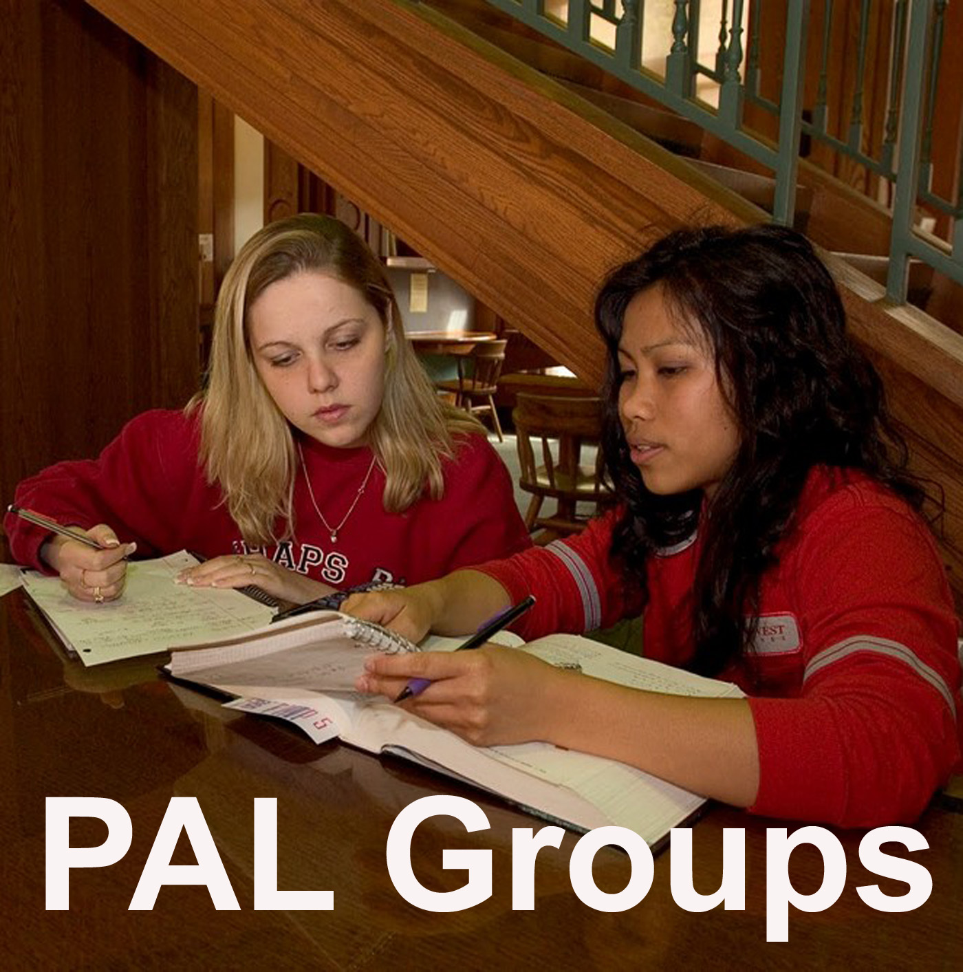 Overview of Peer Learning Annotated Bibliography Overview of Peer Learning Annotated Bibliography
