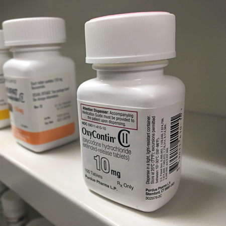 Postoperative Opioid Use Among Patients Undergoing Plastic and Reconstructive Surgery
