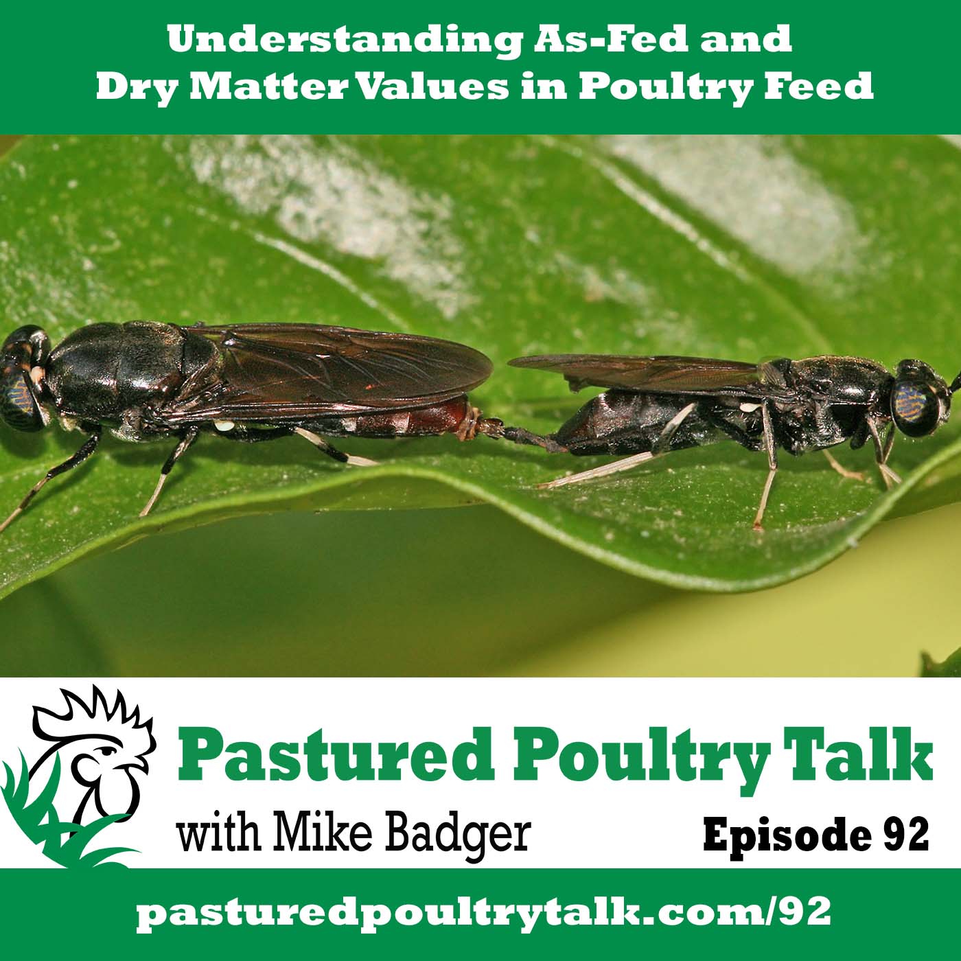 Understanding the difference in as-fed and dry matter nutrition in poultry feeds