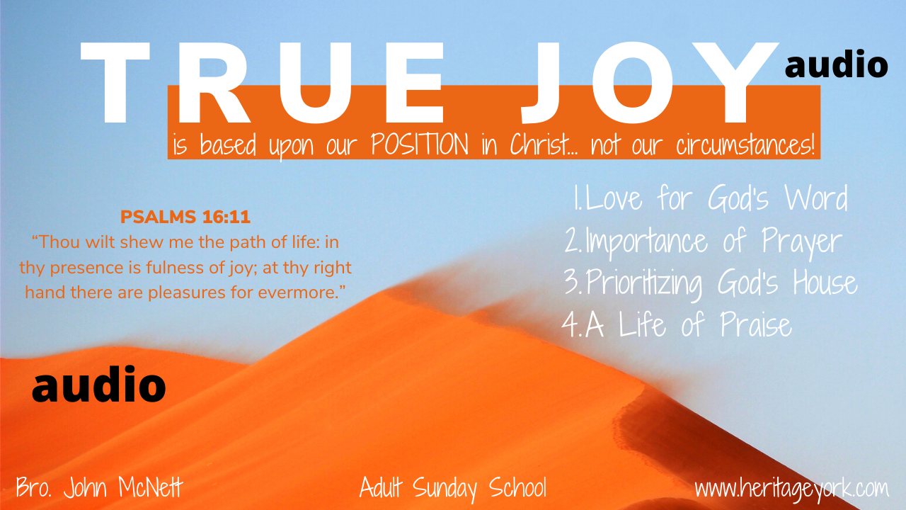 True Joy {McNett}