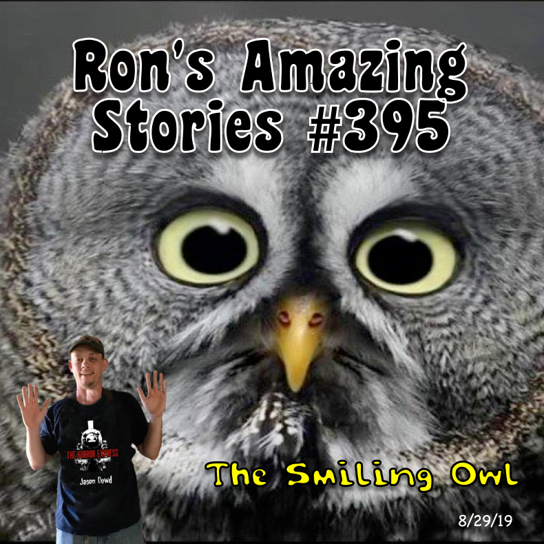 The Smiling Owl