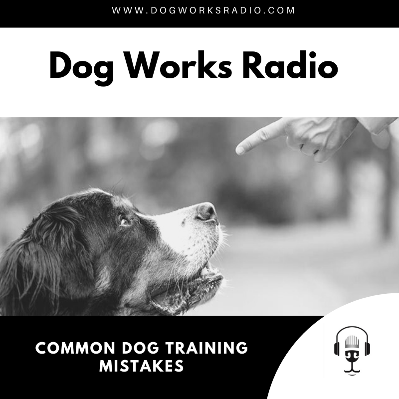 Common Dog Training Mistakes