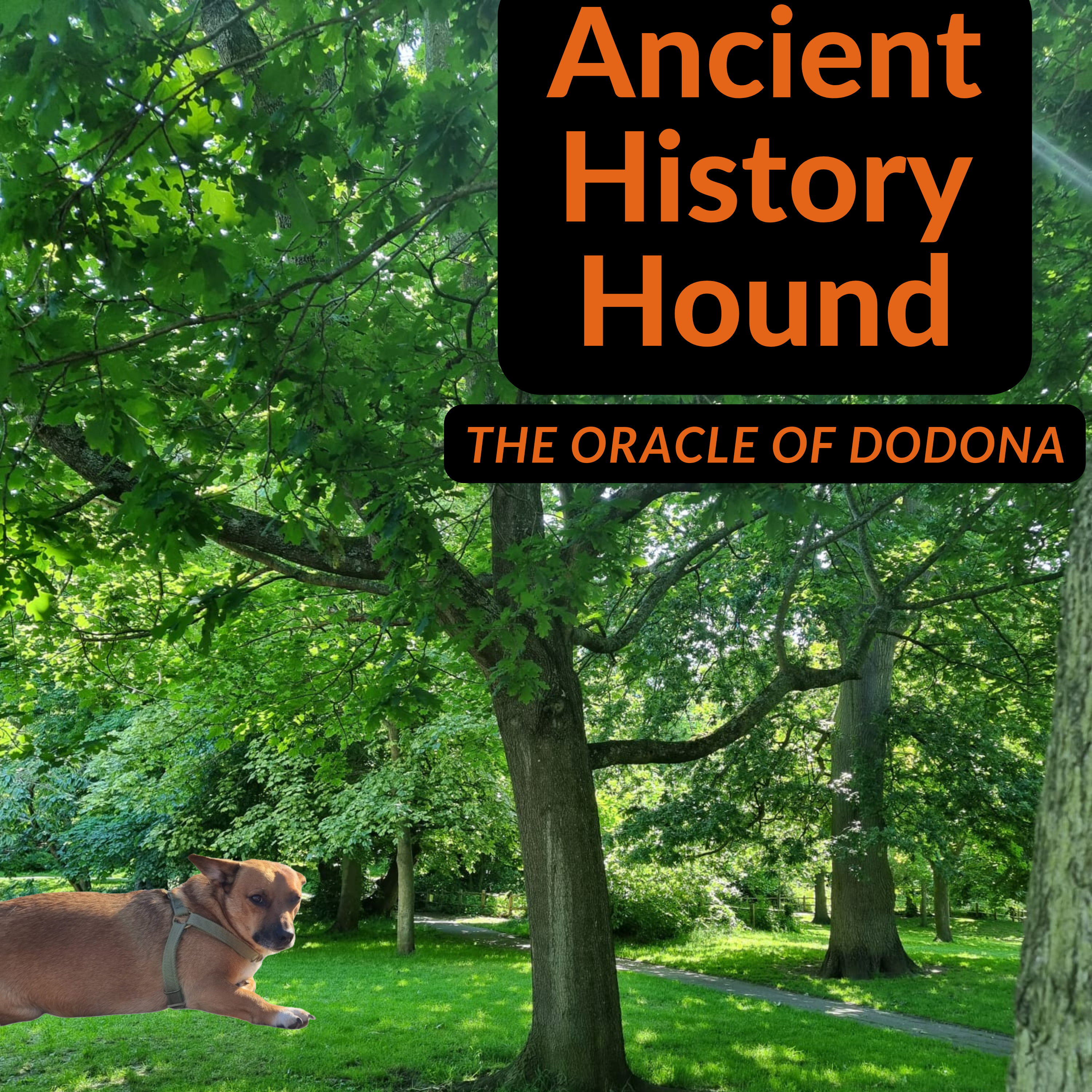 Ancient History Hound
