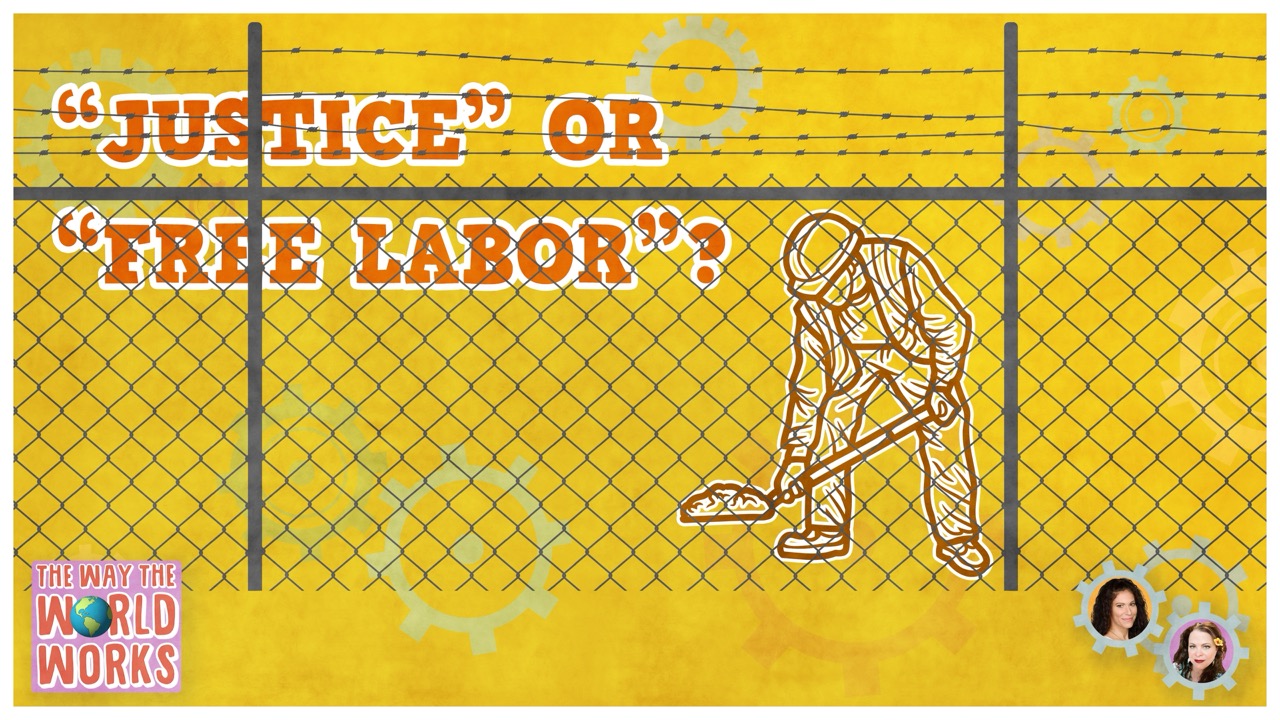 598. Why should you worry about prison labor and private prisons?
