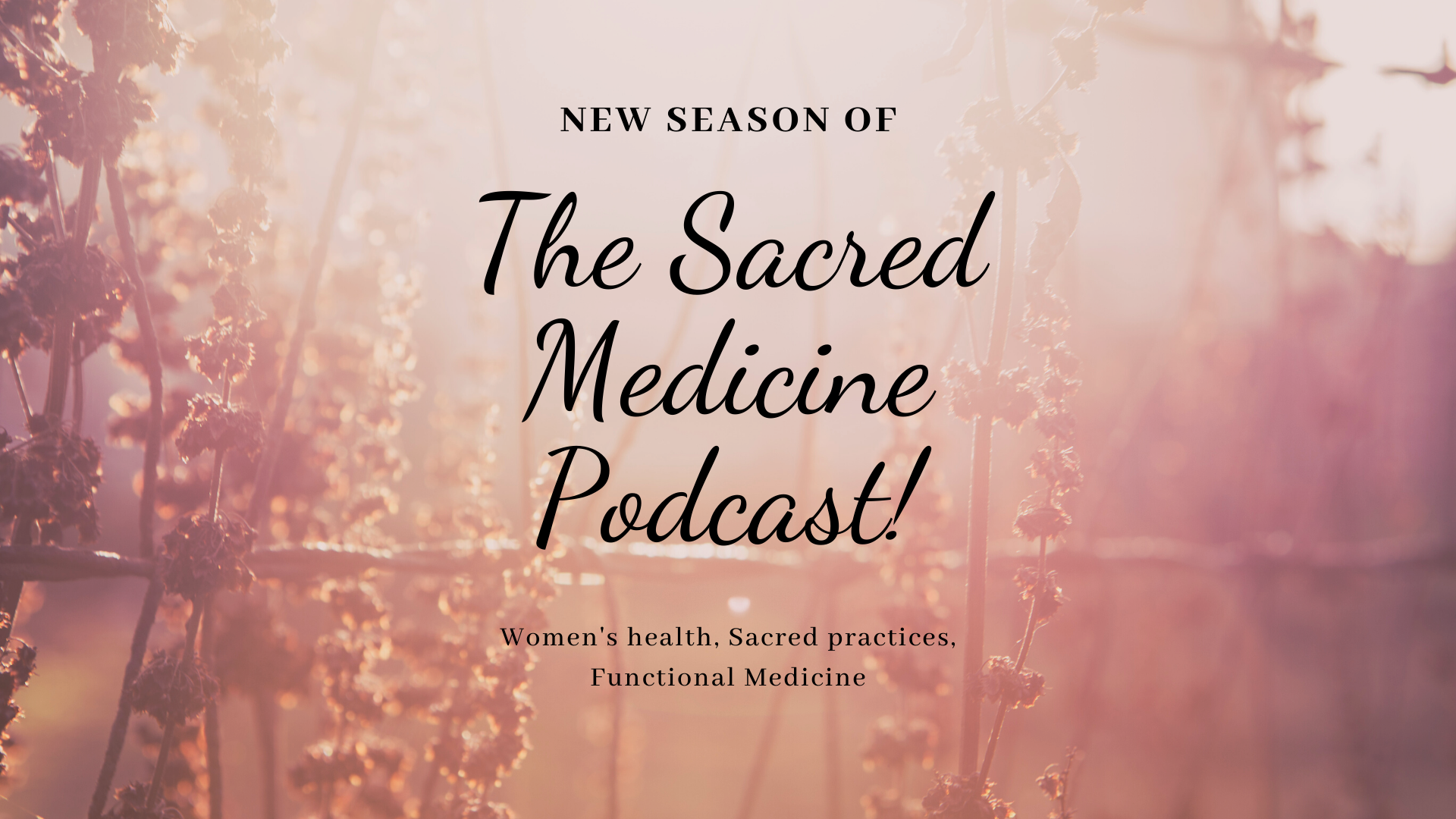The Sacred Medicine Podcast