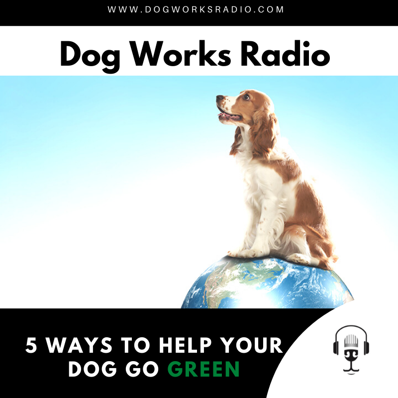 5 Ways to Help Your Dog Go Green on Earth Day