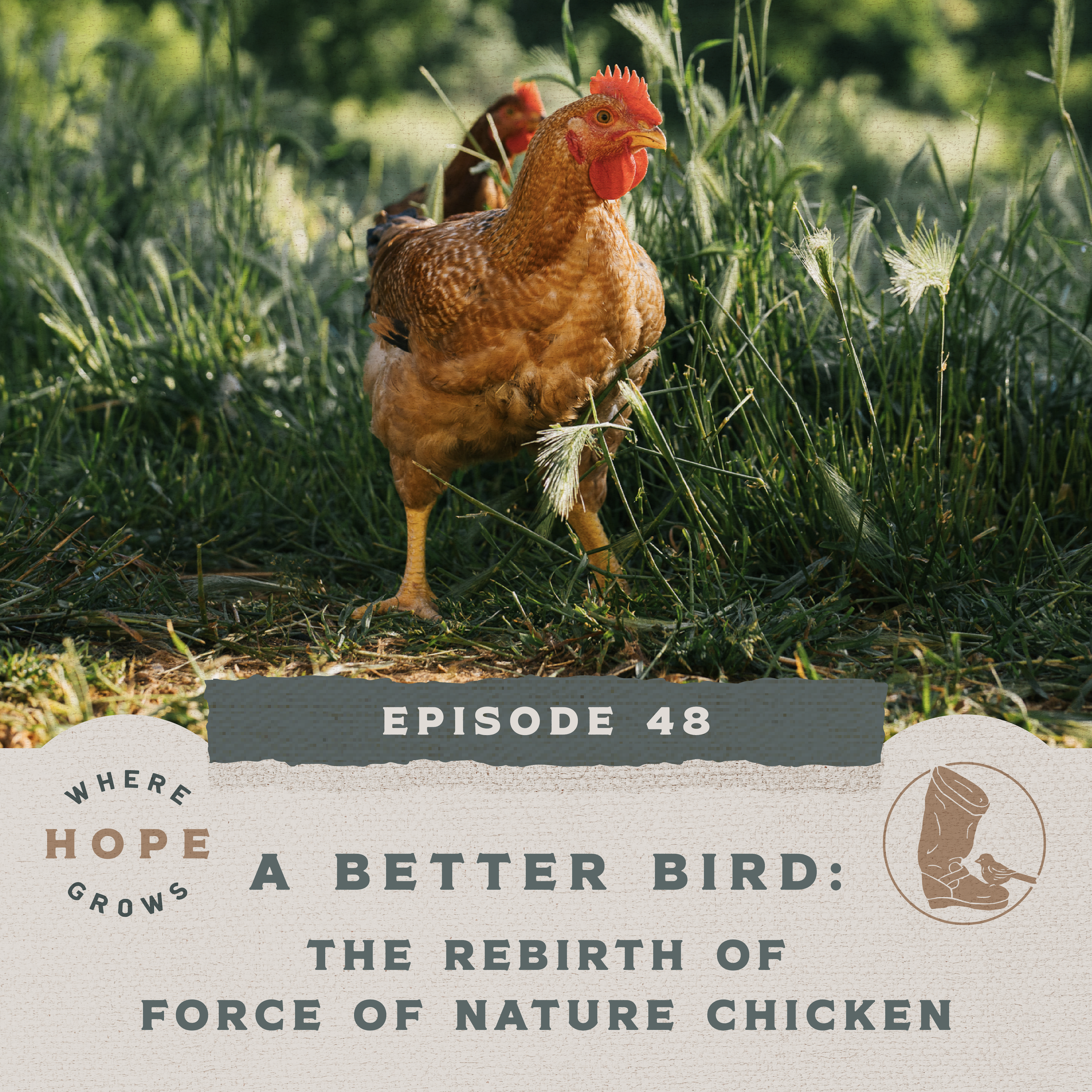 A Better Bird: The Rebirth of Force of Nature Chicken